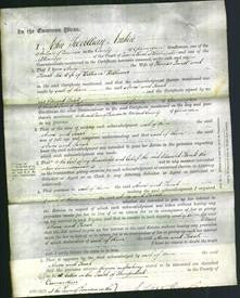 Court of Common Pleas - Anne Powell and Sarah Williams-Original Ancestry