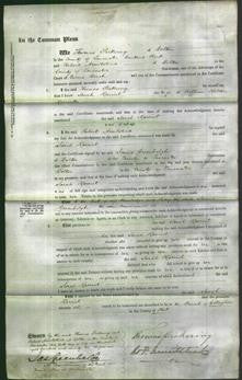 Court of Common Pleas - Sarah Harriet Horrocks-Original Ancestry