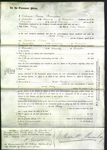 Court of Common Pleas - Mary Davis-Original Ancestry