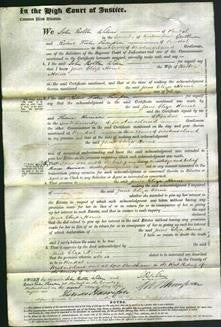 Court of Common Pleas - Jane Eliza Horne-Original Ancestry