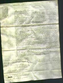 Court of Common Pleas - Mary Swallow-Original Ancestry