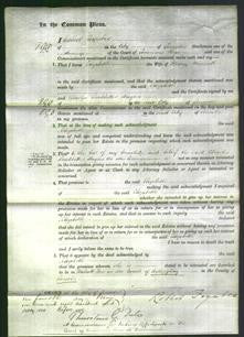 Court of Common Pleas - Elizabeth Minnitt-Original Ancestry