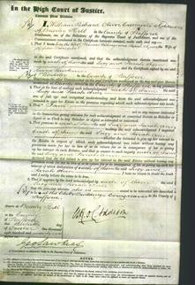 Court of Common Pleas - Lucy Wellings and Sarah Ann Parsons-Original Ancestry