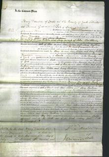 Court of Common Pleas - Ann Kitson and Mary Beetham-Original Ancestry