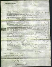 Court of Common Pleas - Elizabeth Masters-Original Ancestry