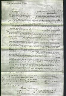 Court of Common Pleas - Agnes Woodhouse and Isabella Brough-Original Ancestry