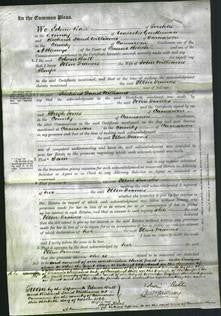 Court of Common Pleas - Ellen Frances Knipe-Original Ancestry