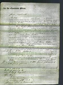 Court of Common Pleas - Mona Wittin-Original Ancestry