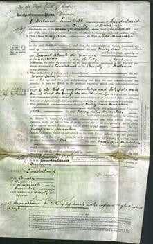 Court of Common Pleas - Mary Ann Henrickson-Original Ancestry