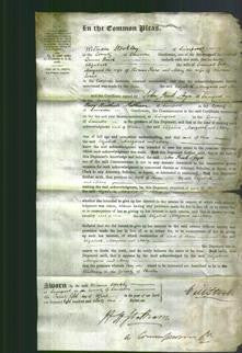 Court of Common Pleas - Elizabeth Totty, Margaret Peers and Mary Jones-Original Ancestry