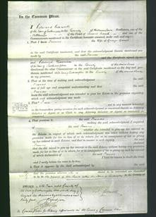 Court of Common Pleas - Frances Garret-Original Ancestry