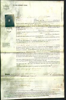 Court of Common Pleas - Elizabeth Leech-Original Ancestry