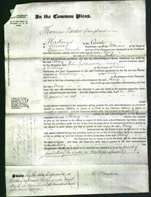 Court of Common Pleas - Mary Baker-Original Ancestry