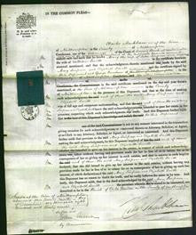 Court of Common Pleas - Mary Simpson and Elizabeth Smith-Original Ancestry