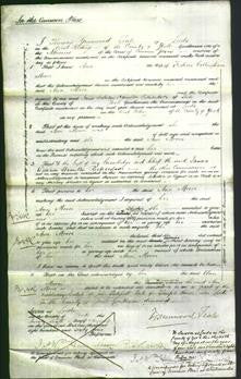 Court of Common Pleas - Ann Moore-Original Ancestry