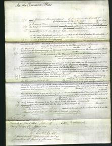 Court of Common Pleas - Elizabeth Greenwood-Original Ancestry