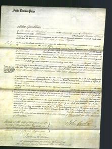 Court of Common Pleas - Eliza Hughes-Original Ancestry