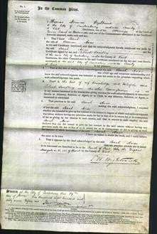 Court of Common Pleas - Sarah Amos-Original Ancestry