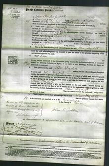 Court of Common Pleas - Ellen Elizabeth Moon-Original Ancestry