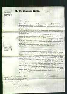 Court of Common Pleas - Elizabeth Gibbons-Original Ancestry