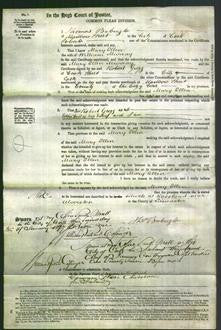 Court of Common Pleas - Mary Ellen Murray-Original Ancestry