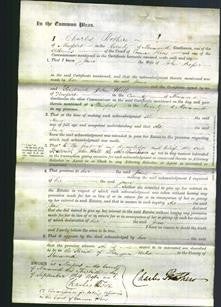 Court of Common Pleas - Jane Prosser-Original Ancestry