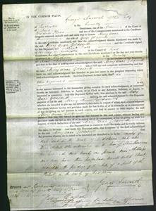 Court of Common Pleas - Mary Anne Goldsmith-Original Ancestry