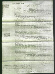 Court of Common Pleas - Elizabeth Luck, Mary Noakes and Elizabeth Stone-Original Ancestry