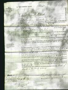 Court of Common Pleas - Charlotte Englefield-Original Ancestry