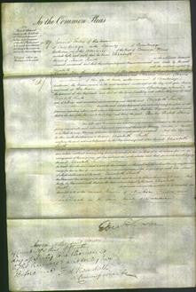 Court of Common Pleas - Elizabeth Smith-Original Ancestry