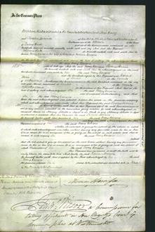 Court of Common Pleas - Mary Burgess-Original Ancestry