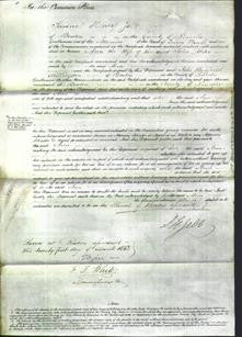 Court of Common Pleas - Ann Porter-Original Ancestry