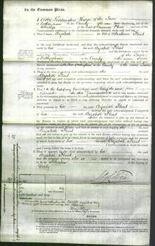 Court of Common Pleas - Elizabeth Flint-Original Ancestry