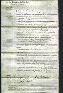 Court of Common Pleas - Amy Whitno-Original Ancestry