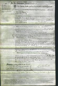 Court of Common Pleas - Annie Cunliffe-Original Ancestry