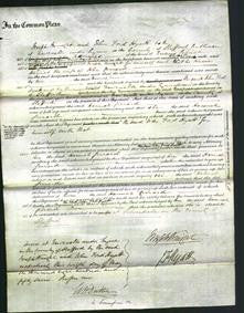 Court of Common Pleas - Hannah Ferrard-Original Ancestry