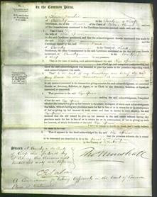 Court of Common Pleas - Eliza Spruce-Original Ancestry
