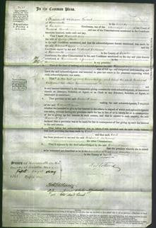 Court of Common Pleas - Harriett Ann Stover-Original Ancestry