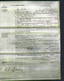 Court of Common Pleas - Fanny Pooley-Original Ancestry