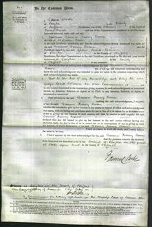 Court of Common Pleas - Emma Finney Brown Brain-Original Ancestry