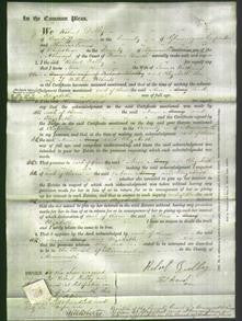 Court of Common Pleas - Ann Watkins, Mary Dolby and Elizabeth Roberts-Original Ancestry