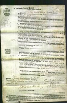 Court of Common Pleas - Eliza Anne Wilkinson-Original Ancestry