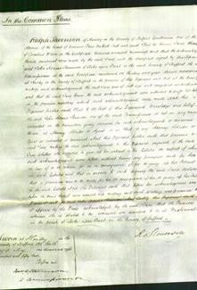 Court of Common Pleas - Jane Bloore-Original Ancestry