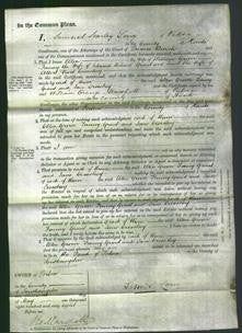 Court of Common Pleas - Ellen Grover, Fanny Grant and Jane Crosskey-Original Ancestry