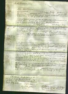 Court of Common Pleas - Lucy Gledhill-Original Ancestry