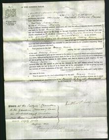 Court of Common Pleas - Mary Ann Brown-Original Ancestry