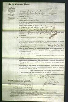 Court of Common Pleas - Jane Neighbour-Original Ancestry