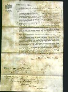 Court of Common Pleas - Elizabeth Pearn-Original Ancestry