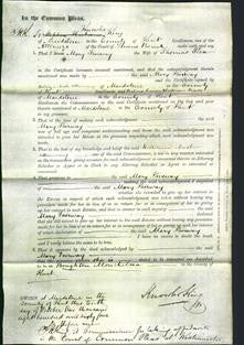 Court of Common Pleas - Mary Fairway Peen-Original Ancestry