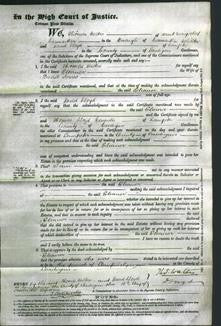 Court of Common Pleas - Eleanor Jones-Original Ancestry